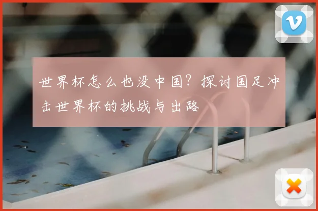 世界杯怎么也没中国？探讨国足冲击世界杯的挑战与出路