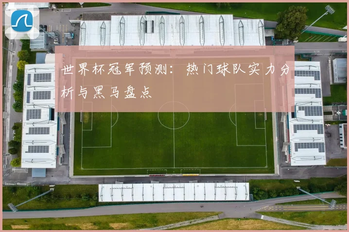 世界杯冠军预测：热门球队实力分析与黑马盘点