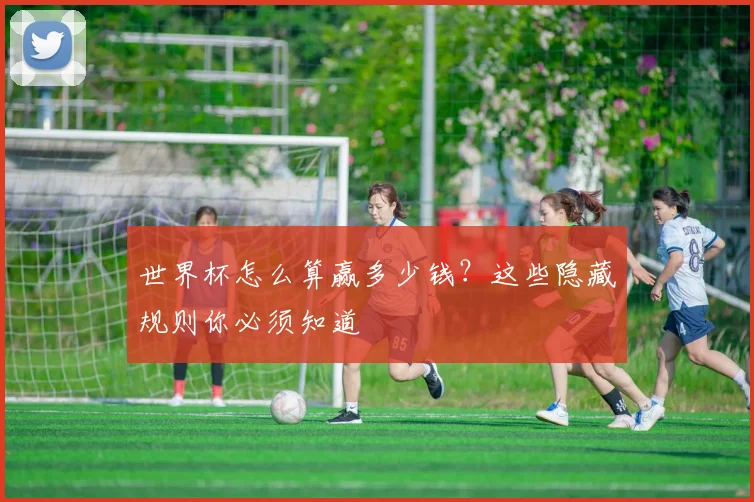 世界杯怎么算赢多少钱？这些隐藏规则你必须知道