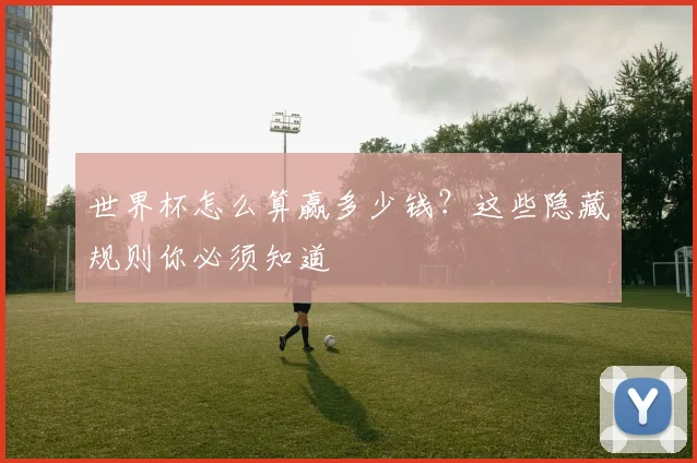 世界杯怎么算赢多少钱？这些隐藏规则你必须知道