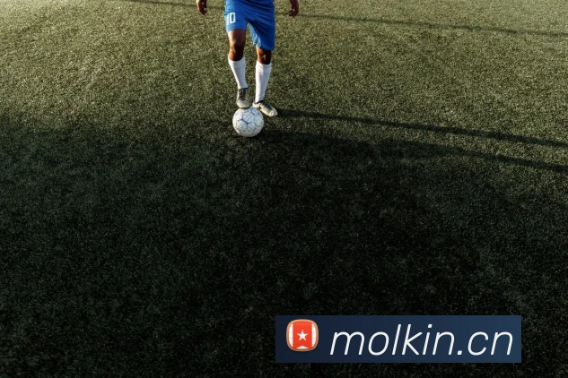 爱游戏ayx体育登录平台生态图